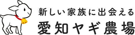 新しい家族に出会える-愛知ヤギ農場